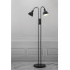 Ray Dimmable | Floor | Black