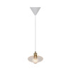 Torina 20|Pendant|Clear Glasss