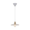 Torina 25|Pendant|Clear Glass