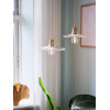 Torina 25|Pendant|Clear Glass