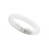 SYLVANIA CIRCLINE T9 FC 32W/865 G10Q