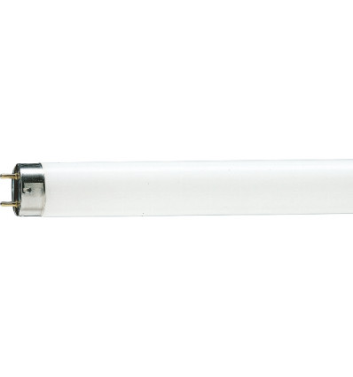 TL-D 90 de Luxe 18W/940 G13