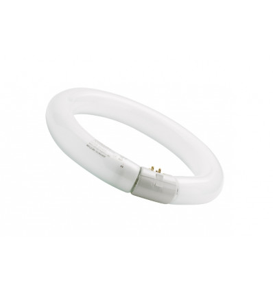 SYLVANIA CIRCLINE T9 FC 40W/840 G10Q