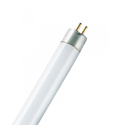 Basic T5 L 8W/535 G5