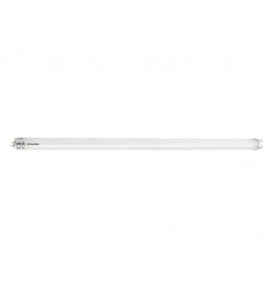 TOLEDO NEOS T8 CCG L600 900LM 840 30K RL 6,6W 230V G13